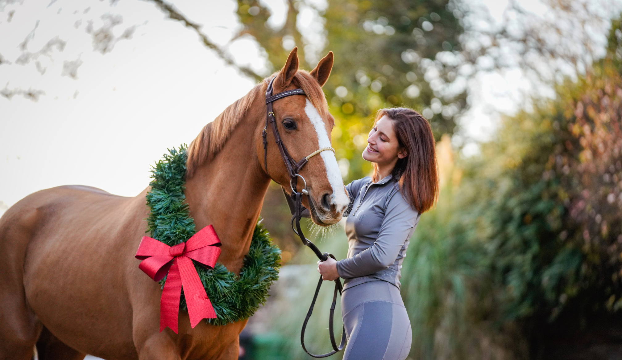 Christmas Equestrian Gift Guide